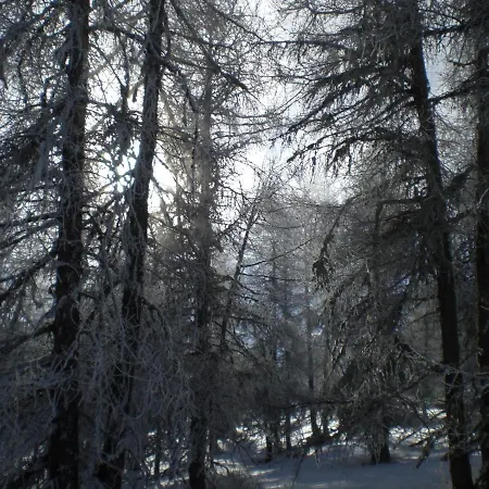 T3 Coquet Et Lumineux Aux Pieds Des Pistes Appartement Ancelle