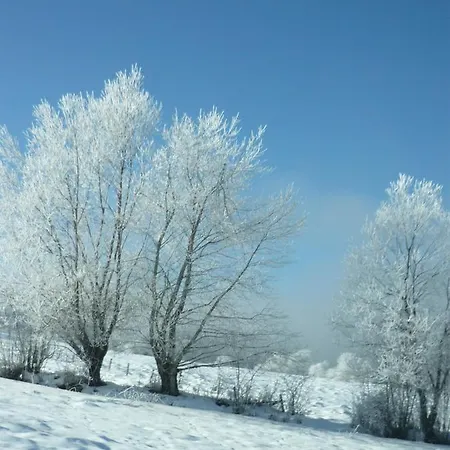 T3 Coquet Et Lumineux Aux Pieds Des Pistes Appartement